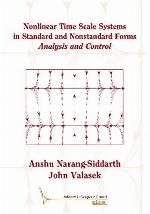 Nonlinear Time Scale Systems in Standard and Nonstandard Forms