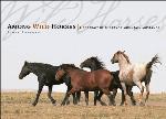 Among Wild Horses