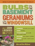 Bulbs in the Basement, Geraniums on the Windowsill