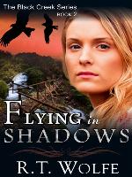 Flying in Shadows
