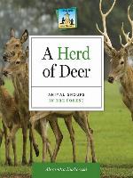 Herd of Deer