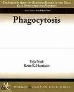 Phagocytosis