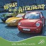 What Is An Attribute?