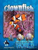 Clownfish