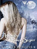 Hidden in Plain Sight