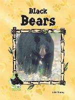 Black Bears