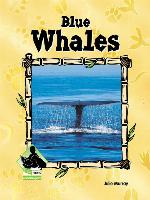 Blue Whales