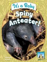 It's a Baby Spiny Anteater!