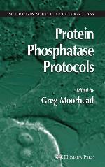 Protein Phosphatase Protocols (Methods in Molecular Biology, 365)