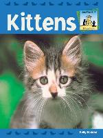Kittens