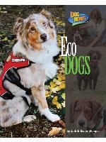 Eco Dogs