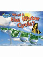 What Is the Water Cycle?