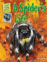A Spider's Life