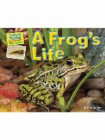 A Frog's Life