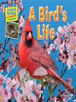 A Bird's Life