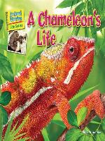 A Chameleon's Life