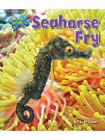 Seahorse Fry