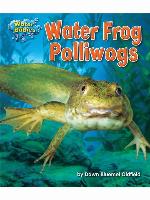 Water Frog Polliwogs