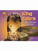 King Cobra