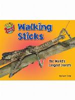 Walking Sticks