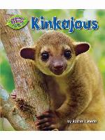 Kinkajous