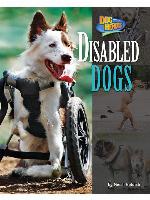 Disabled Dogs