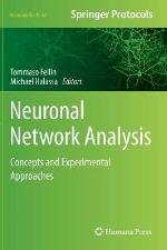 Neuronal Network Analysis