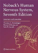 Noback's Human Nervous System, Seventh Edition
