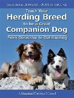 Teach Your Herding Breed To Be a Great Companion Dog