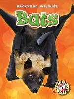 Bats
