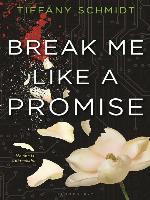 Break Me Like a Promise