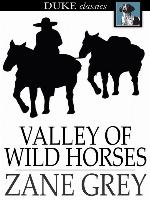 Valley of Wild Horses