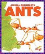 Ants