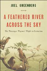 A Feathered River Across the Sky