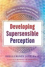 Developing Supersensible Perception