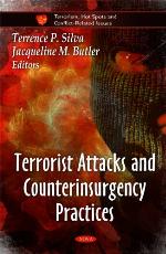 Terrorist attacks and counterinsurgency practices