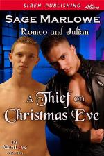 A Thief on Christmas Eve