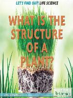 What Is the Structure of a Plant?