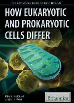 How Eukaryotic and Prokaryotic Cells Differ