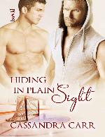 Hiding in Plain Sight