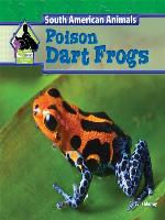Poison Dart Frogs