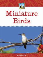 Miniature Birds