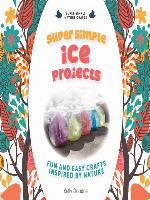 Super Simple Ice Projects