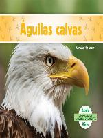 Águilas calvas (Bald Eagles)