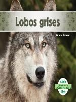 Lobos grises (Gray Wolves)