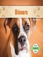 Bóxers (Boxers)