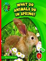 What Do Animals Do in Spring?