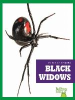 Black Widows
