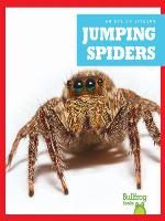 Jumping Spiders