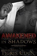 Awakened In Shadows